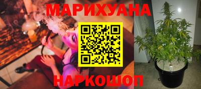 a pvp Будённовск