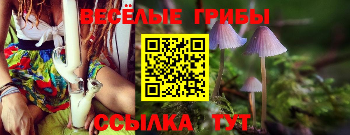 Галлюциногенные грибы MAGIC MUSHROOMS  Вход с VPN  цены   Пермь  Галлюциногенные грибы прущие грибы 